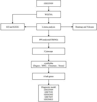 A novel prognostic 6-gene signature for osteoporosis